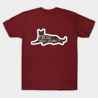 MEOW you doin? Funny cat pun T-Shirt